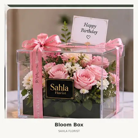 Bloom Box Mamberamo Tengah